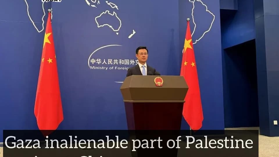 Gaza inalienable part of Palestine territory: China